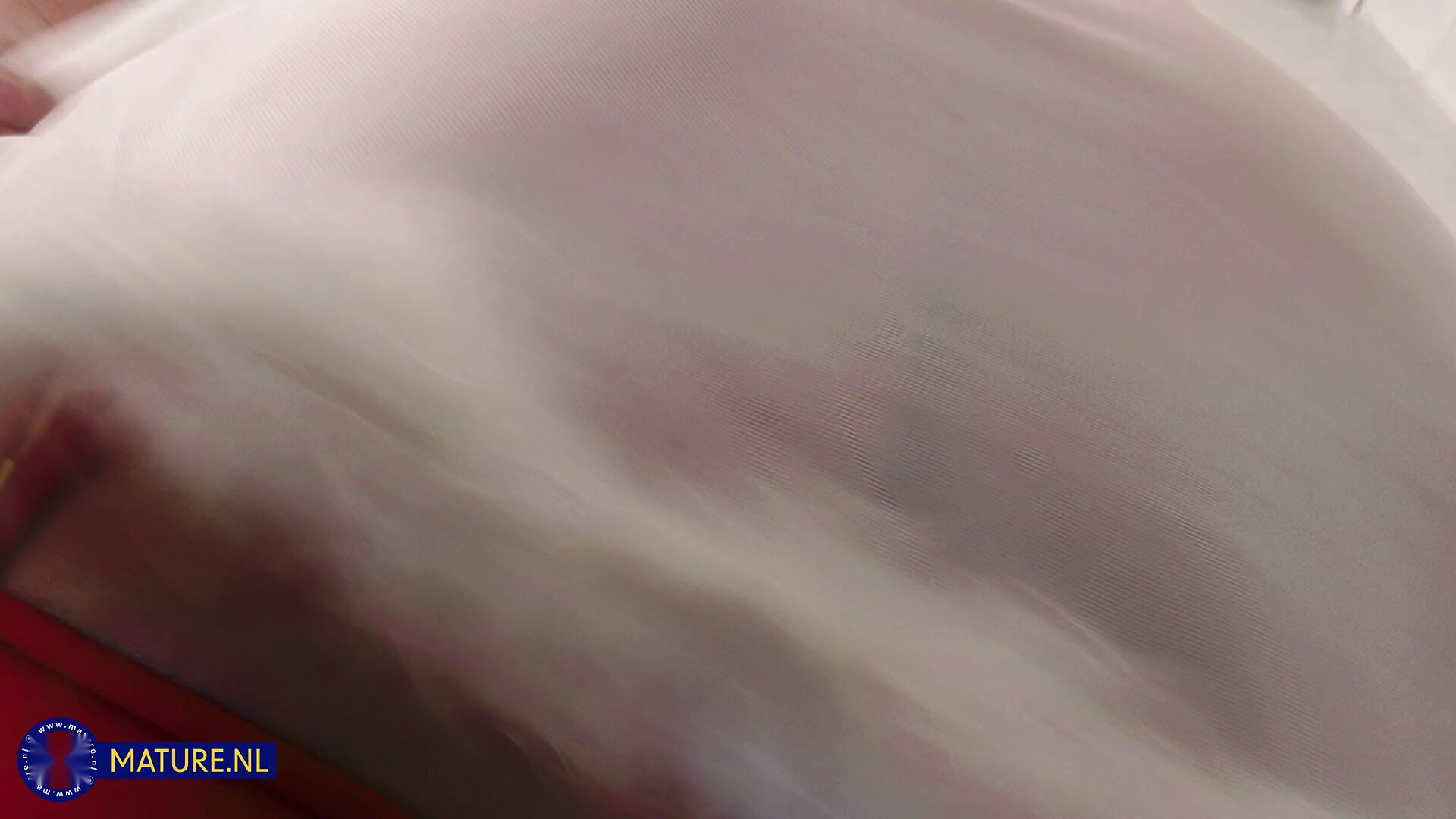 Blog image 5
